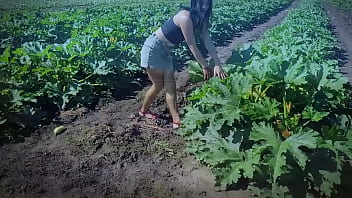 Traktoris Nyaris Terjun Jurang Saat Lihat Adegan Panas Syuting Film Porno Di Ladang Zukini