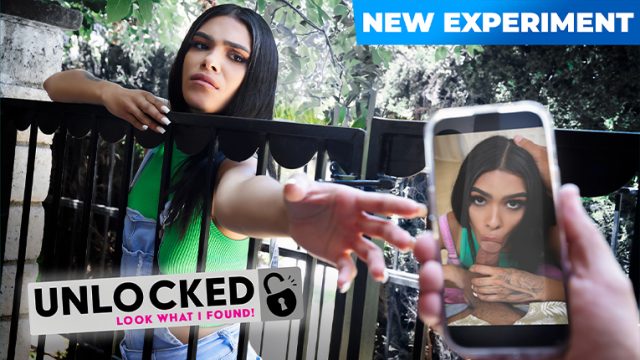Rekaman Tersembunyi: Petualangan Panas Teamskeet