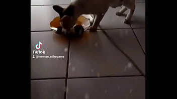 Gadis Malam Yang Menggoda