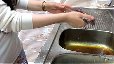 كفيل سعودي يخوزق الخدامة المصرية من كسها وهي نايمة لما مرته مش في البيت