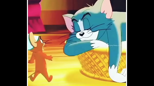 Tom Dan Jerry Saling Crot Di Sofa